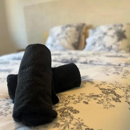 Cosy Rent Strasbourg Appartement Wifi Terrasse Екстер'єр фото