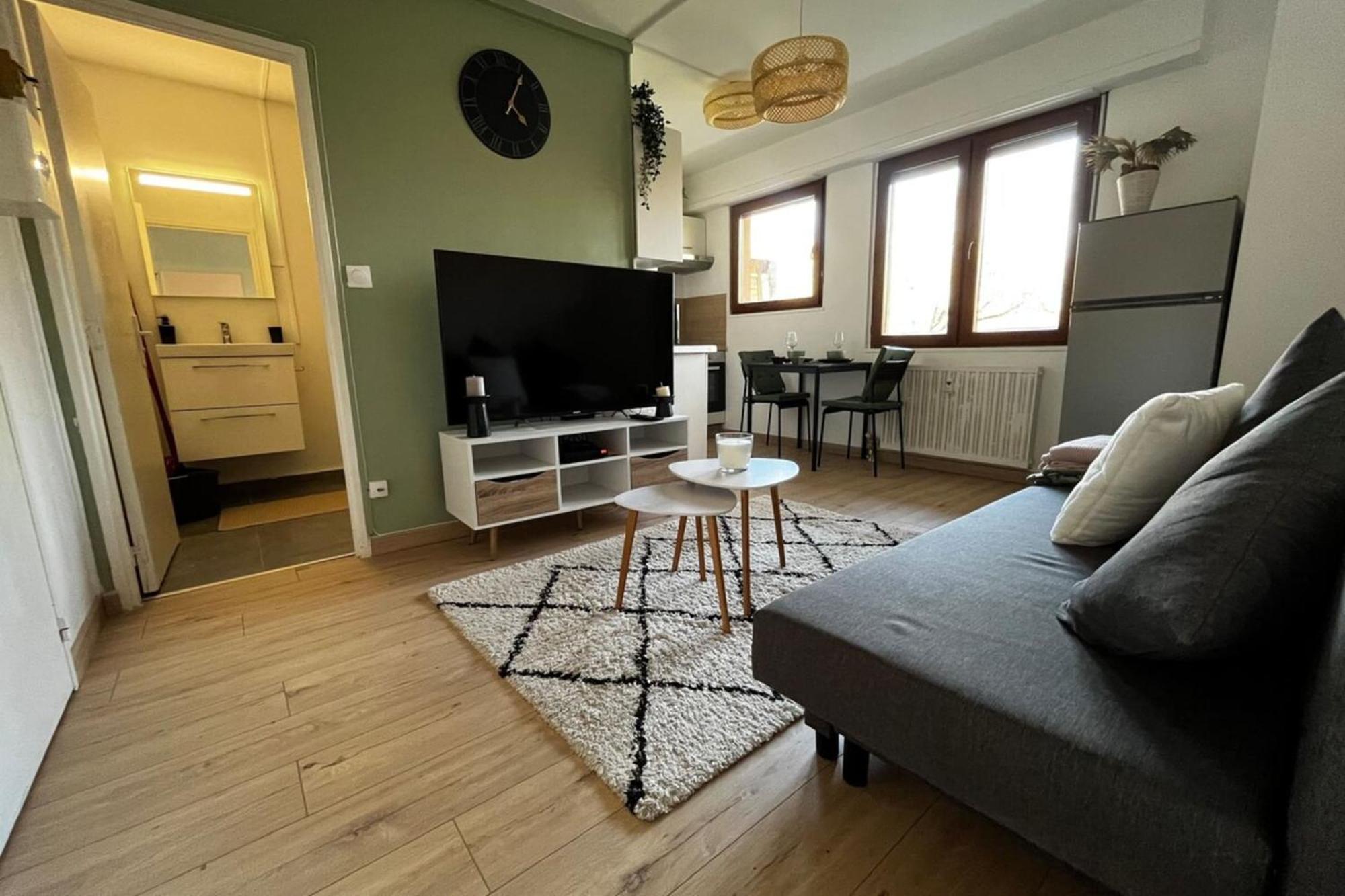 Cosy Rent Strasbourg Appartement Wifi Terrasse Екстер'єр фото