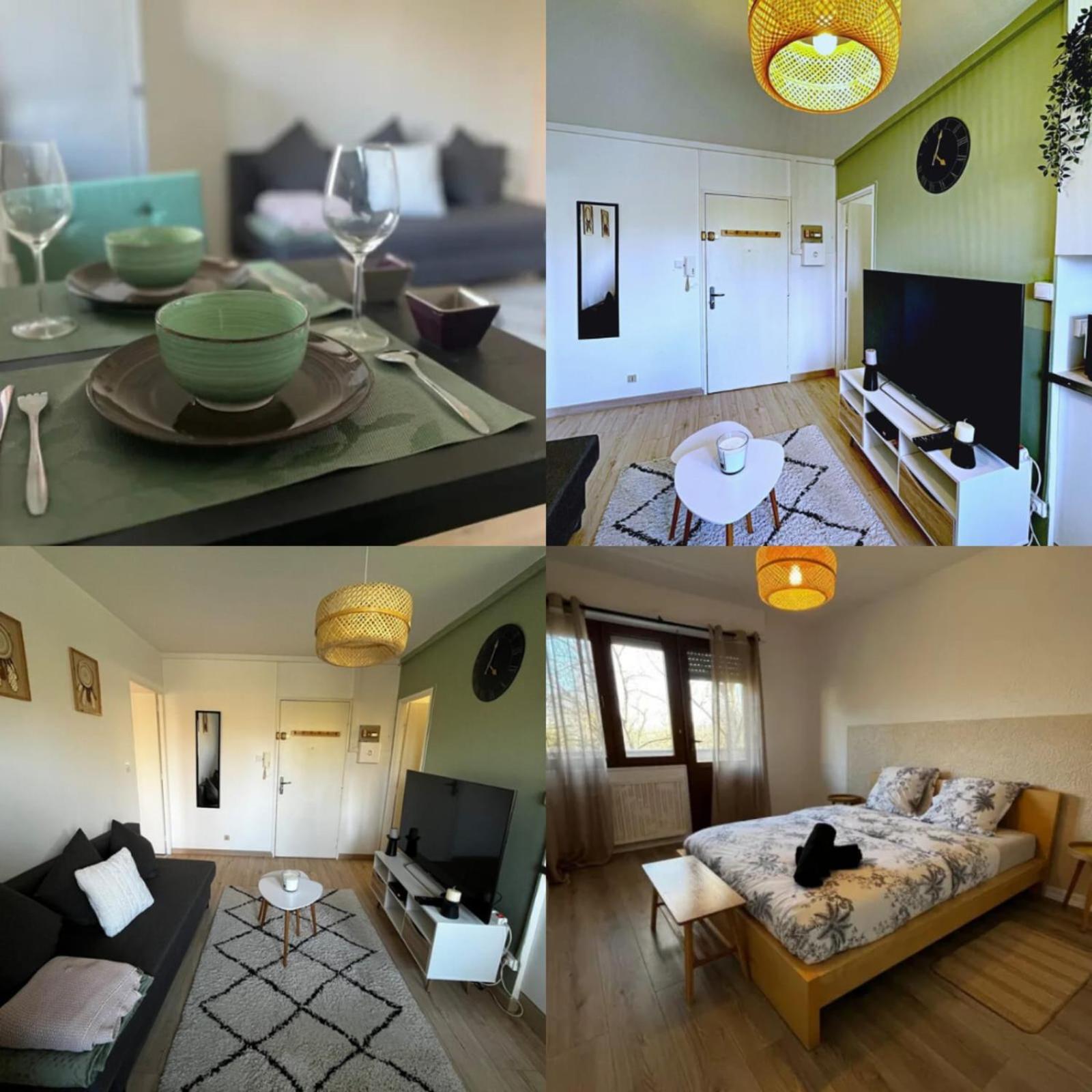 Cosy Rent Strasbourg Appartement Wifi Terrasse Екстер'єр фото